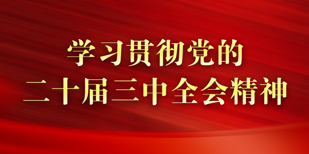 学习贯彻党的二十届三中全会精神