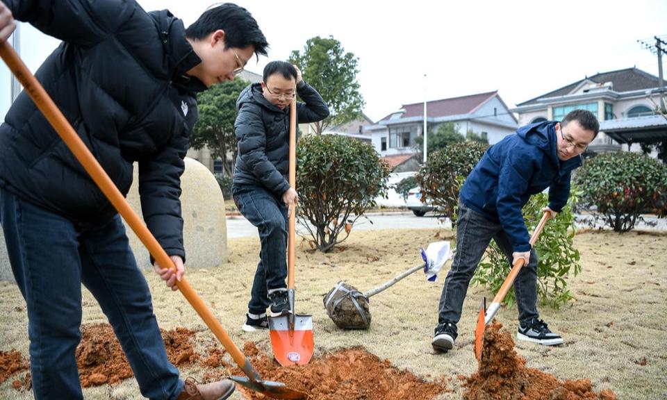 “植”此青绿 共“树”未来