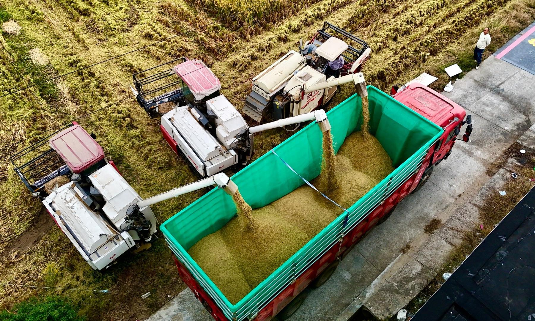 颗粒归仓收割忙