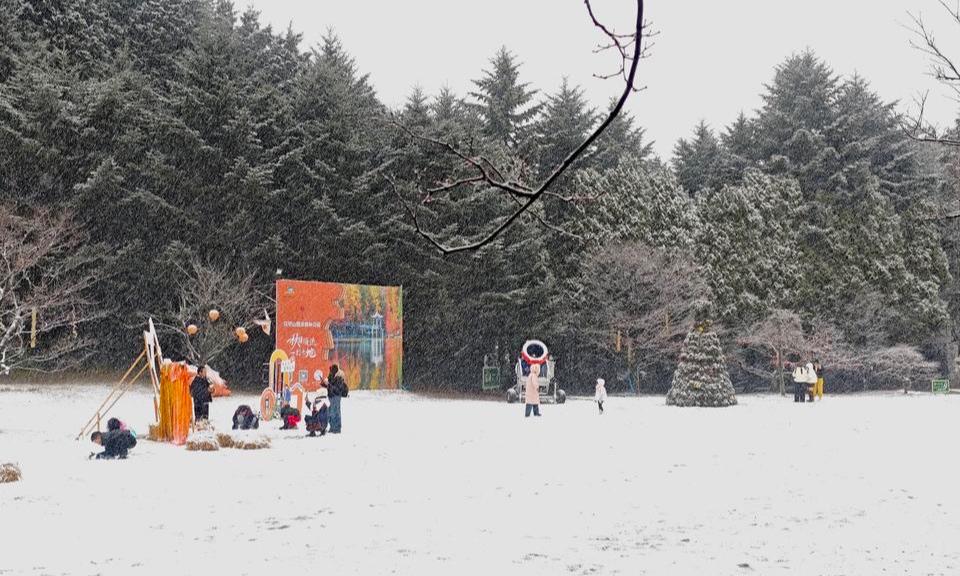 四明山迎来2026年首场降雪