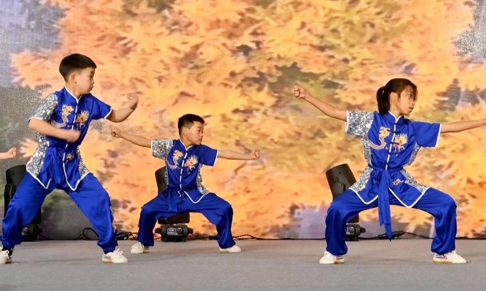 武术展演庆新年