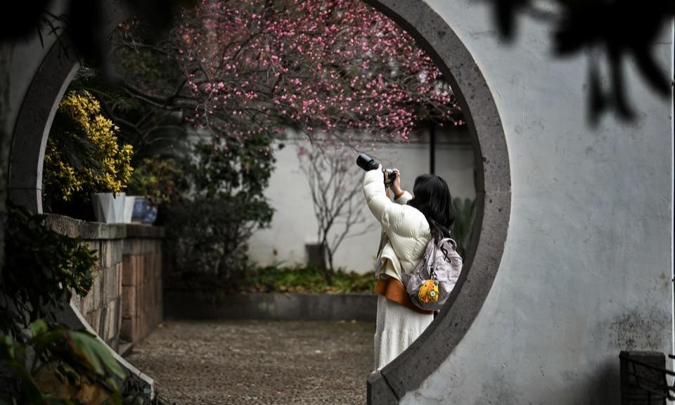 中天阁红梅绽放