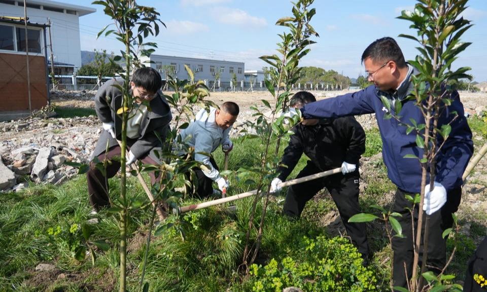 春来植新绿 闲地焕生机