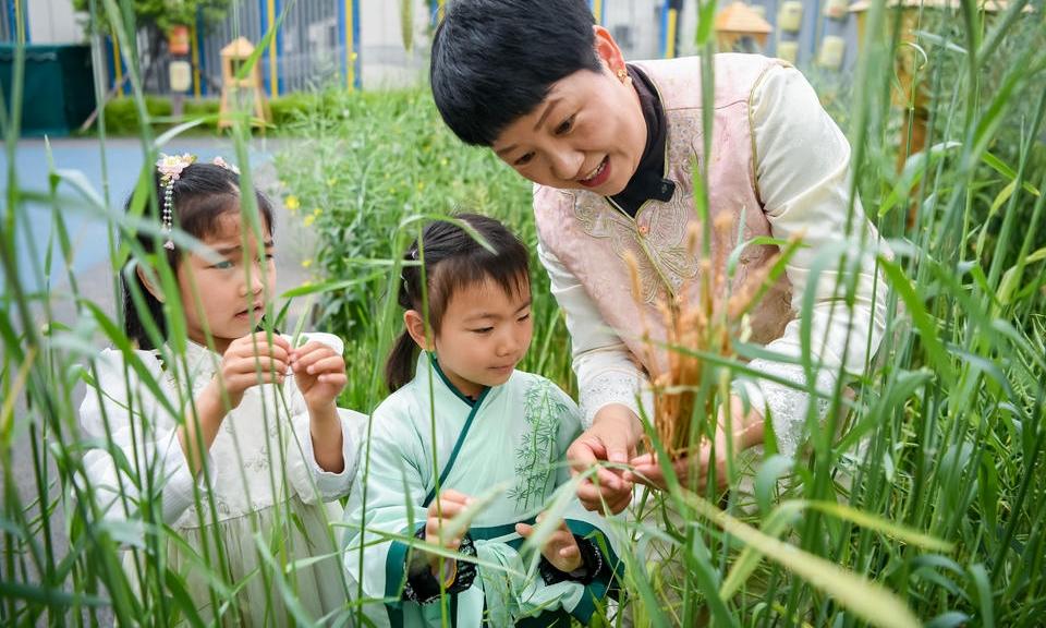 田间识麦 指尖传艺