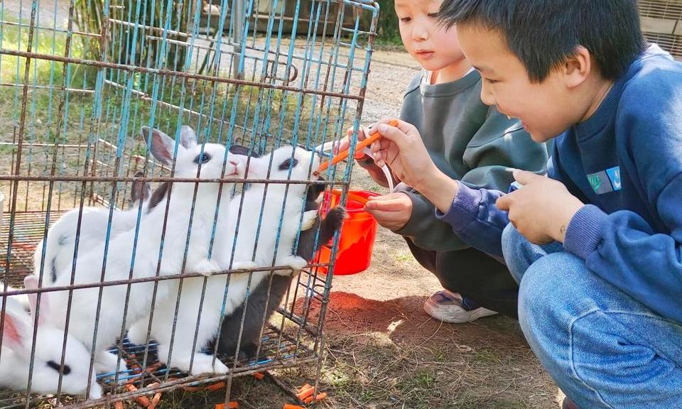 亲近野生动物，探秘生态奥秘