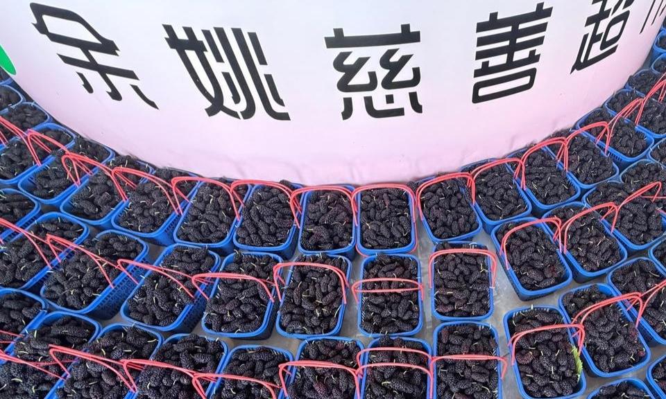 助销桑葚 助农扶困