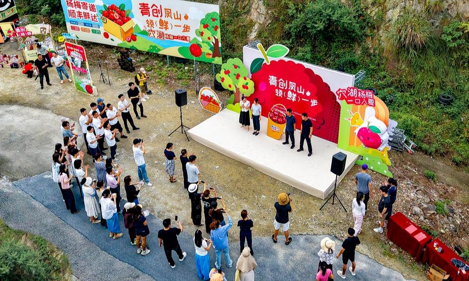 青创凤山 领“鲜”一步 
