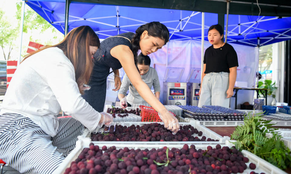杨梅飘香 市民争相尝鲜
