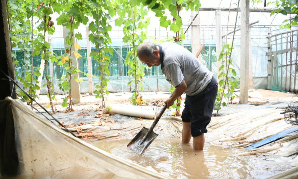 田间排涝护葡萄